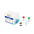 Freeze-Dried RT-PCR test reagent kit